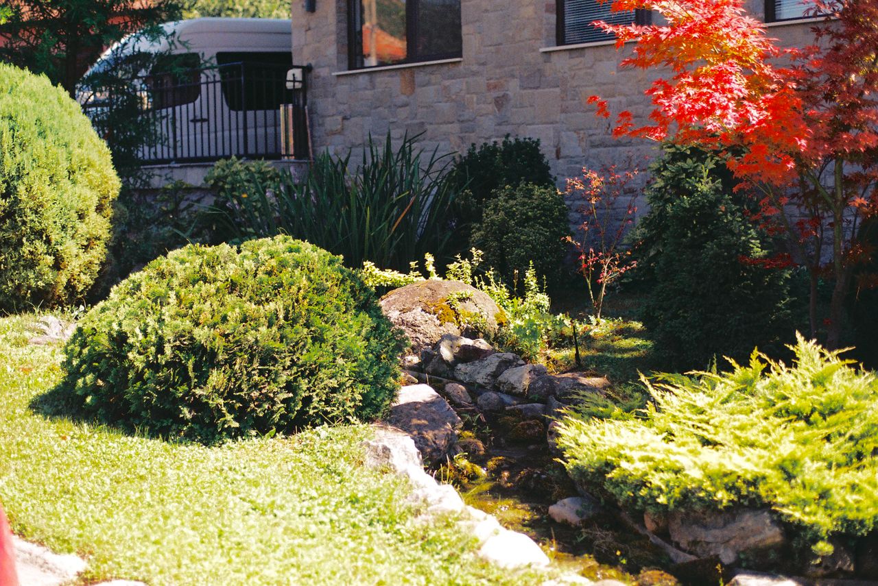 Crafting Captivating Headlines: Your awesome post title goes here Serene garden featuring vibrant red leaves and lush greenery framing a stone pathway.